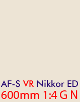 AF-S VR 600/4